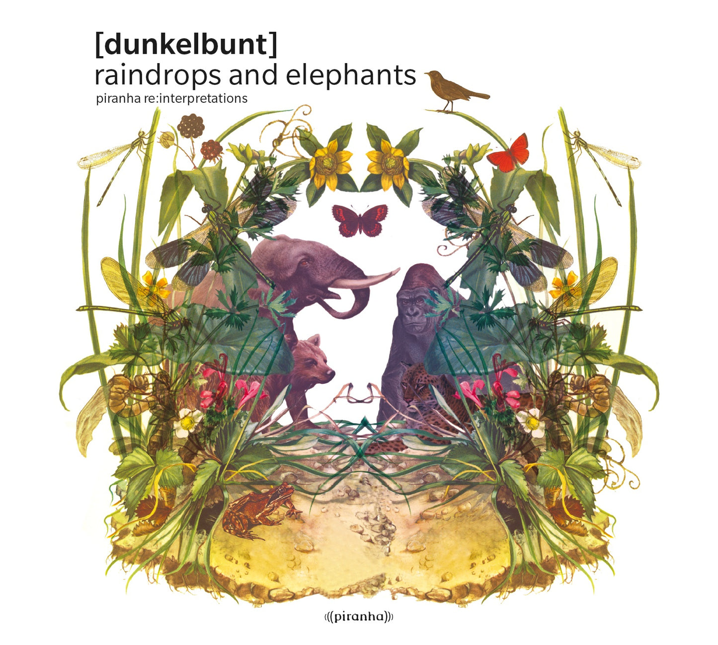 Raindrops and Elephants [Vinyl]