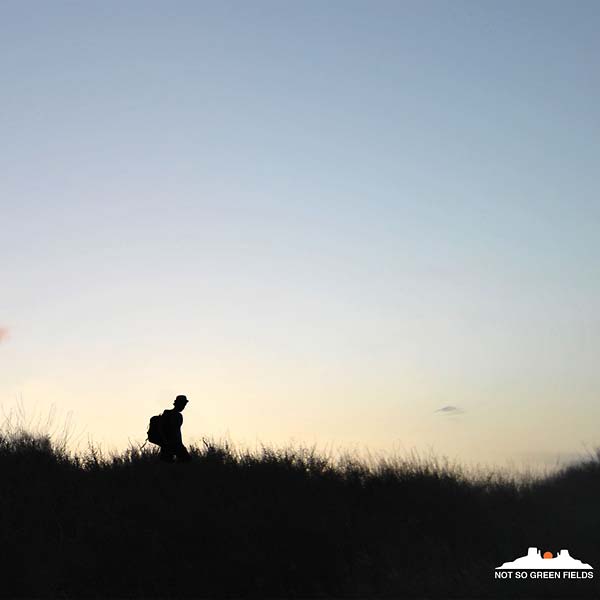 DUSTY KID - Not So Green Fields [CD]