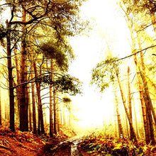 EARLY MAMMAL - Take a Lover [Vinyl]