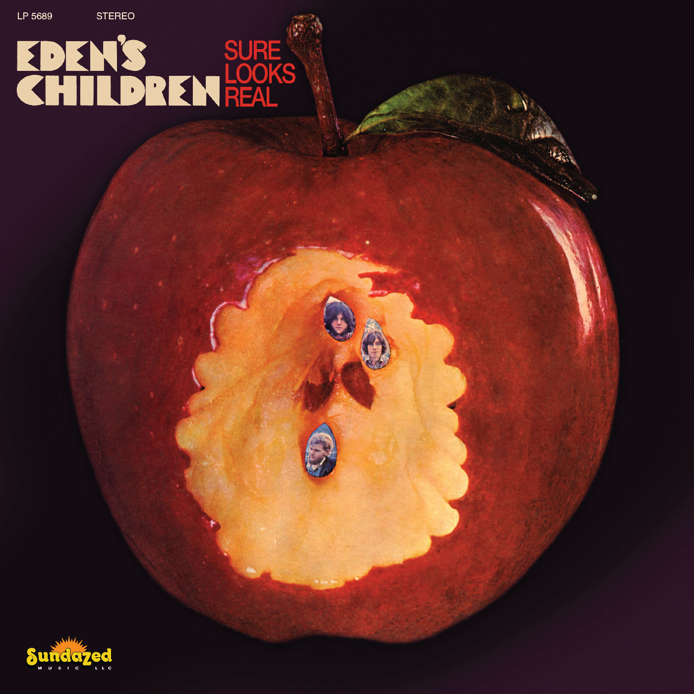 Sure Looks Real [CD]