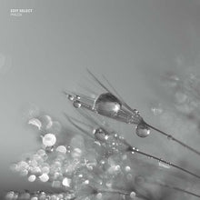 EDIT SELECT - Phlox [Vinyl]