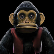 The Monkey [Vinyl]