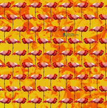 ELEPHANT CHATEAU - Dreamings & Offshore Drilling - Pearls And Turtles [CD]