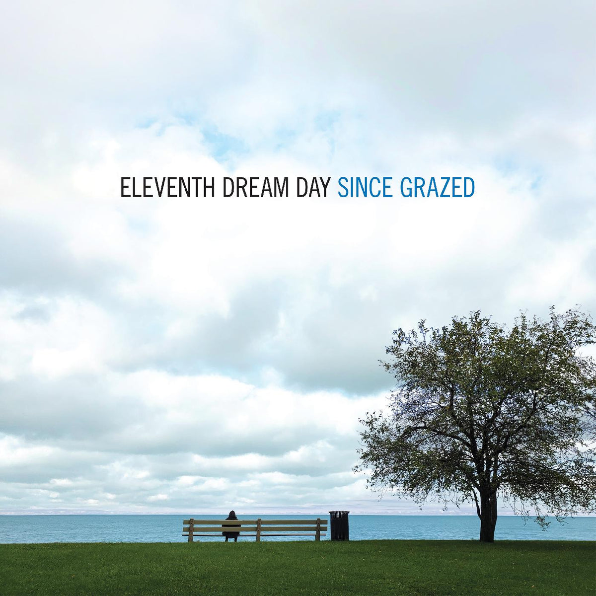 Eleventh Dream Day - Since Grazed [Vinyl] - Paladin Vinyl