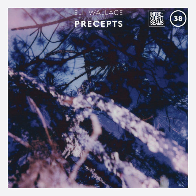 Eli Wallace - Precepts [Cassette]