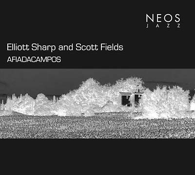 ELLIOTT SHARP & SCOTT FIELDS - Afiadacampos [CD]