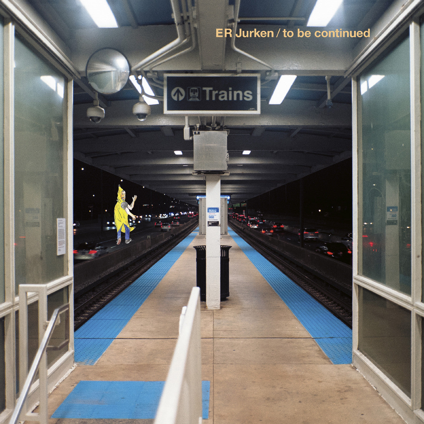 To Be Continued [Vinyl]