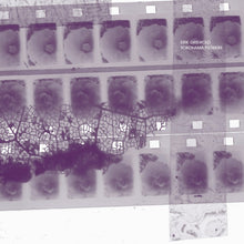 ERIK GRISWOLD - Yokohama Flowers [CD]