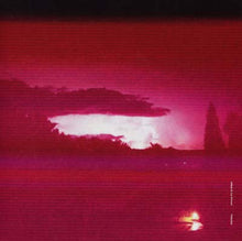 ERIKM & LUC FERRARI - Visitation [Vinyl]