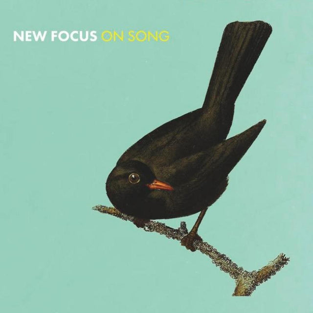 Euan & Wiszniewski Stevenson - New Focus On Song [CD]