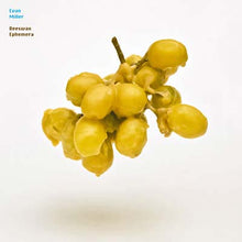 EVAN MILLER - Beeswax Ephemera [CD]