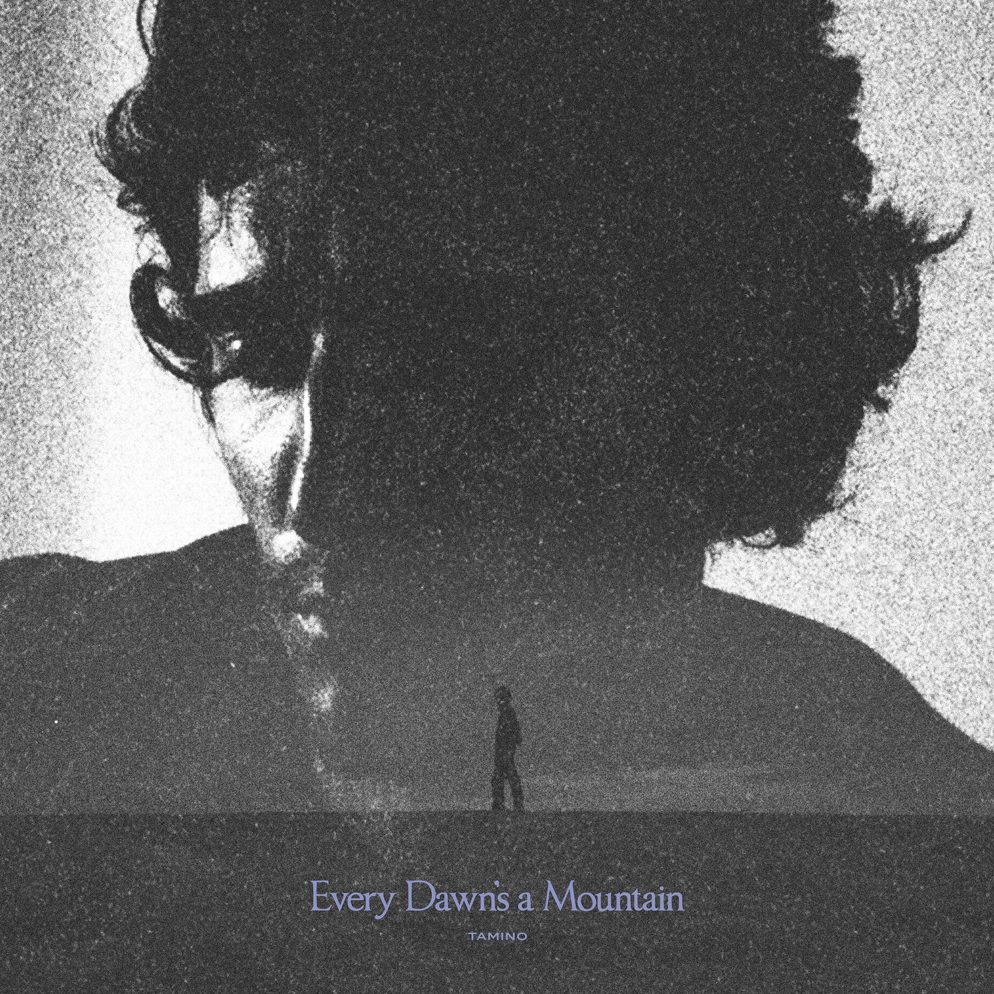 Every Dawn&#39;s a Mountain (Black &amp; Silver Marbled) [Vinyl]
