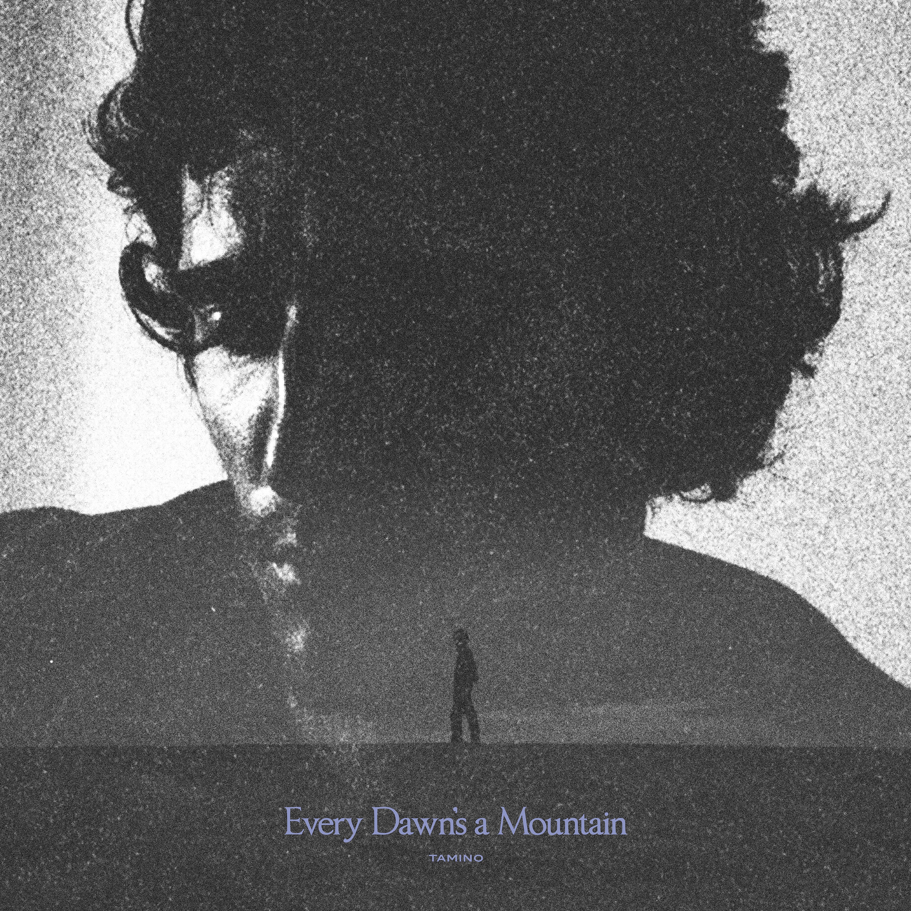 Every Dawn&#39;s a Mountain (Black &amp; Silver Marbled) [Vinyl]