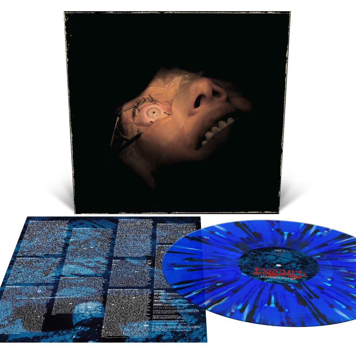 Anatomy Is Destiny (Royal Blue with Splatter) [Vinyl] - Paladin Vinyl