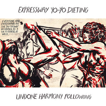Undone Harmony Following [Vinyl]