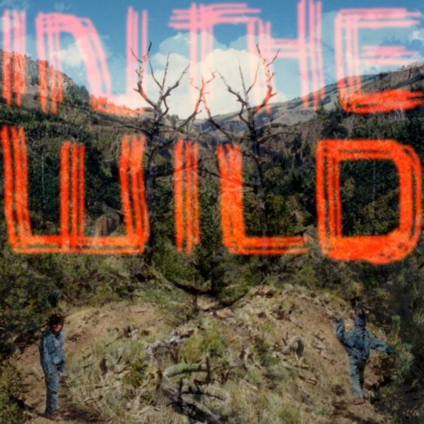 FaltyDL - In The Wild [Vinyl] - Paladin Vinyl