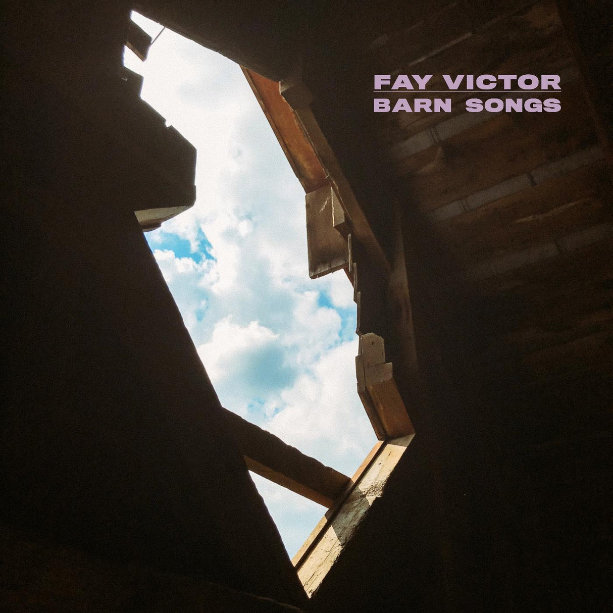 Fay Victor - Barn Songs [CD]