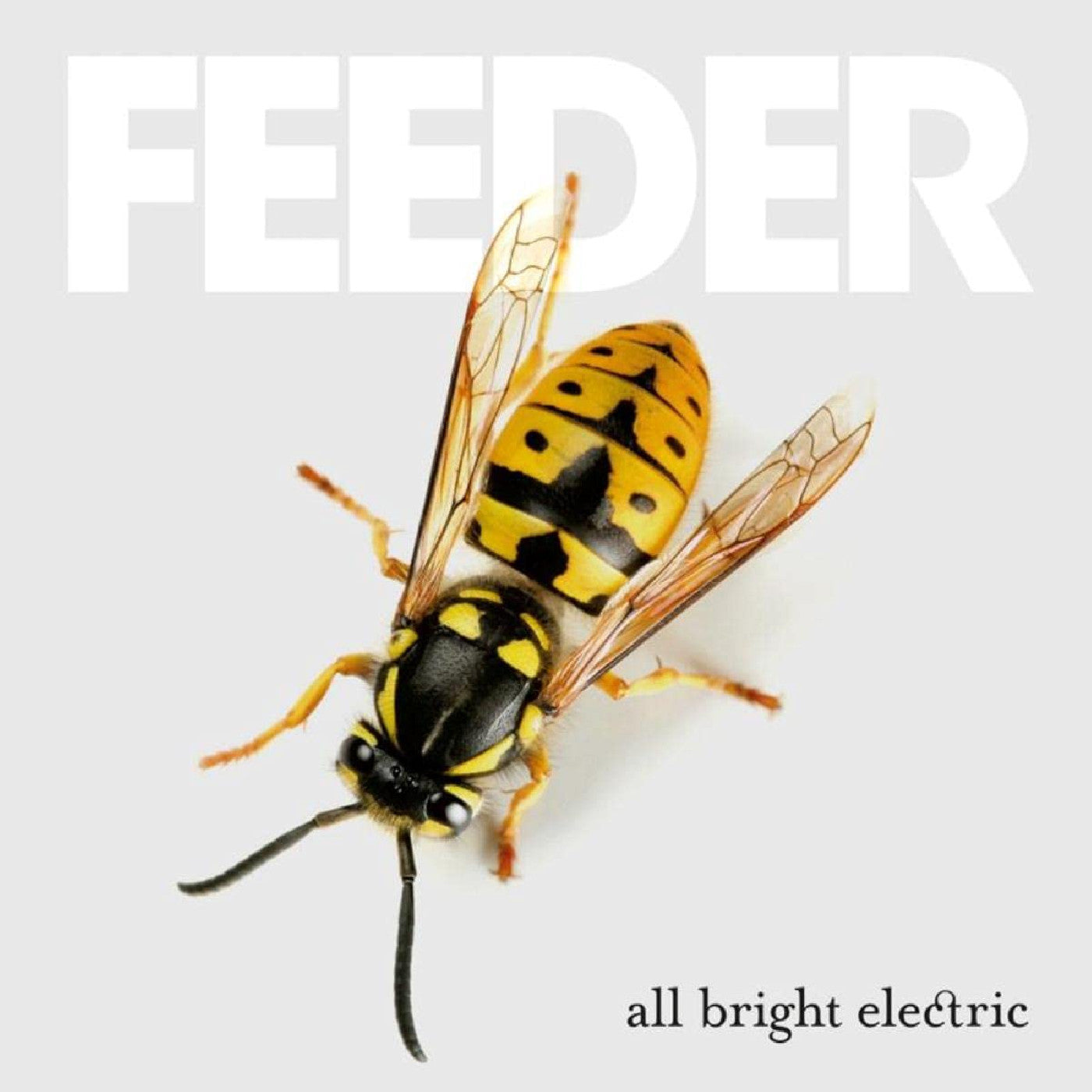 Feeder - All Bright Electric (Deluxe Edition) [CD]