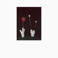FELICIA ATKINSON - The Flower And The Vessel [Vinyl]