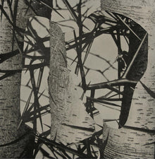 FEMME - Chroma [Vinyl]