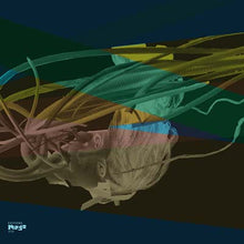 FENN O'BERG - Magic & Return [CD]