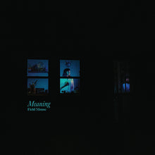 Field Mouse - Meaning [Vinyl]