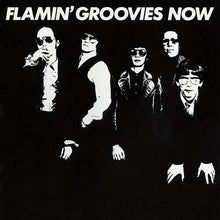 Flamin' Groovies - Now (vinilo de 180 gramos) [Vinilo]