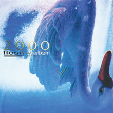 2000: In Search Of The Endless Sky (Indie Exclusive Fluorescent Pink Vinyl) [Vinyl]
