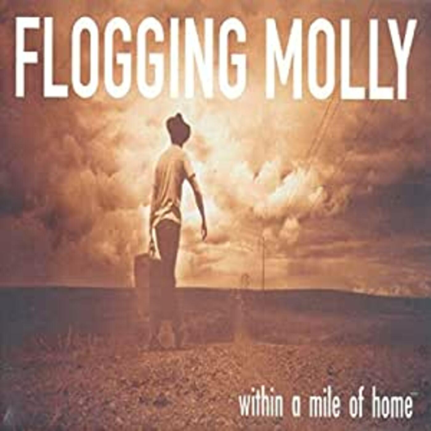 Within A Mile Of Home (Eco Mix Tobacco Vinyl) [Vinyl]