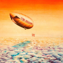 Flying Norwegians - New Day [Vinyl] - Paladin Vinyl