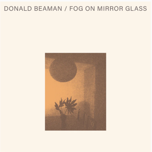 Fog On Mirror Glass [Vinyl]
