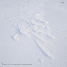 Death Is Perfection, Everything Else Is Relative [Vinyl]