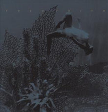 Fred Frith - Eye To Ear 3 [CD]