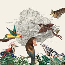 The Birds Of Marsville [Vinyl]