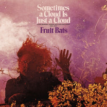 Fruit Bats - Sometimes a Cloud Is Just a Cloud: Slow Growers, Sleeper Hits and Lost Songs (2001–2021) (Vinilo de color, rosa, violeta, funda de LP desplegable, tarjeta de descarga digital) (2 LP) [Vinilo]