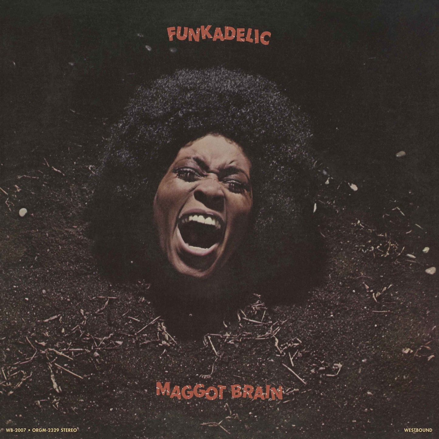 Funkadelic - Maggot Brain [Black LP] [Vinyl]