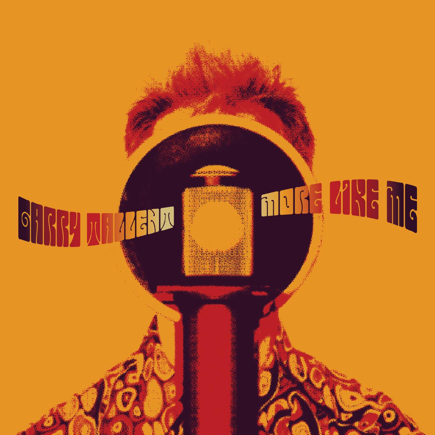 More Like Me [Vinyl] - Paladin Vinyl