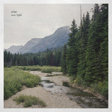 New Light [Vinyl]