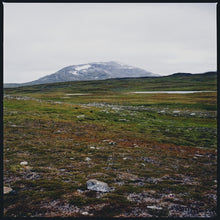 Tundra [Vinyl]