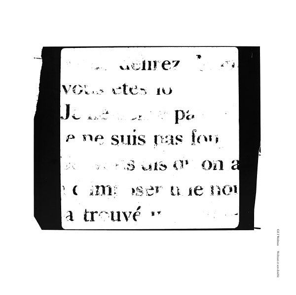 GIL J. WOLMAN - Wolman et son double [Vinyl]