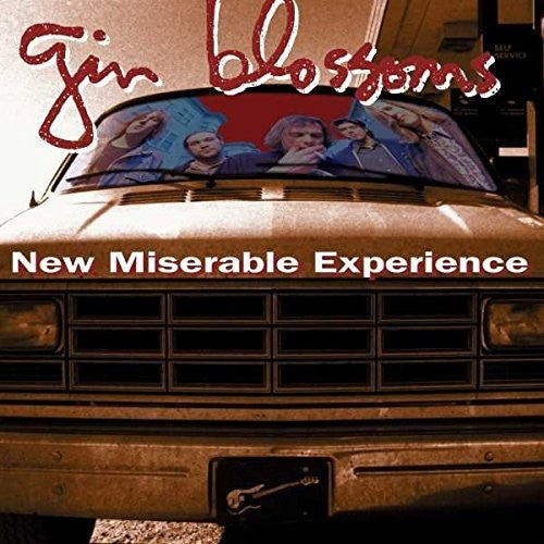 New Miserable Experience [Import] [CD]