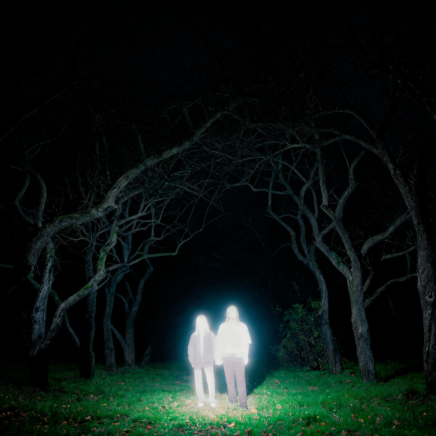 Gnoomes - Losey (Indie Exclusive) [Slate Gray Vinyl] [Vinyl]