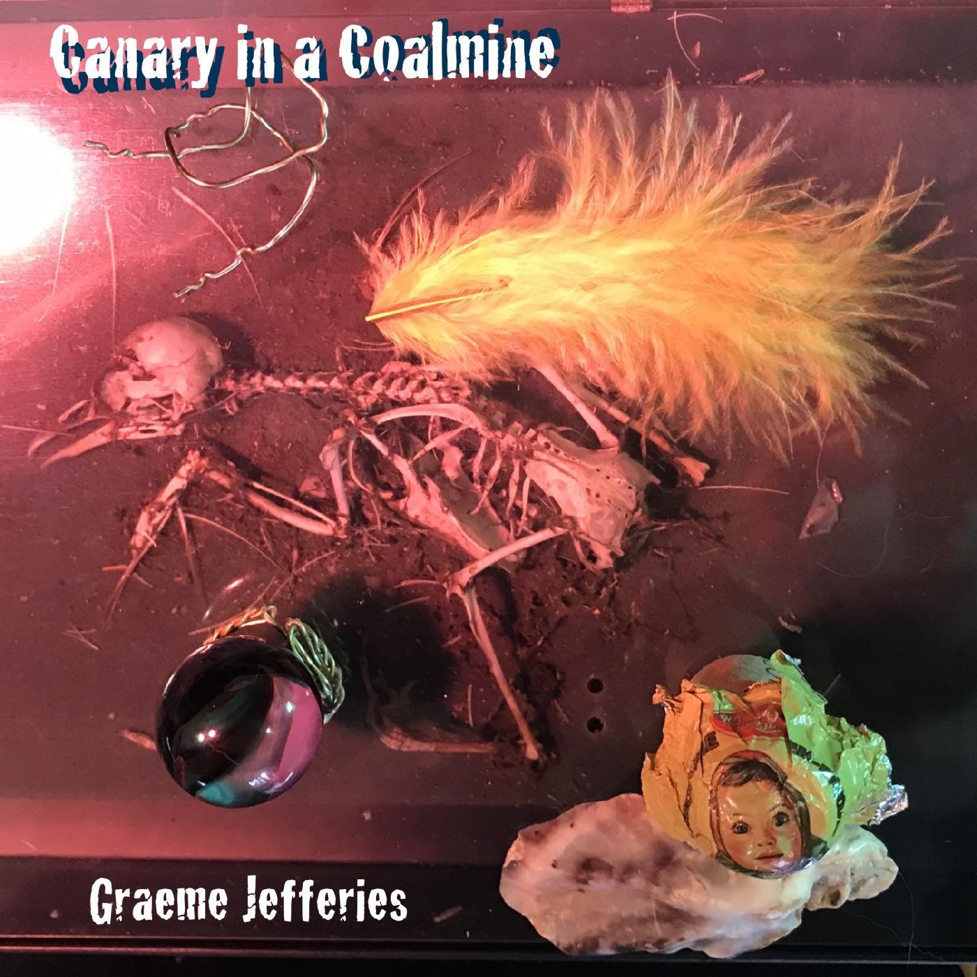 Graeme Jefferies - Canary in a Coalmine [Vinyl] - Paladin Vinyl