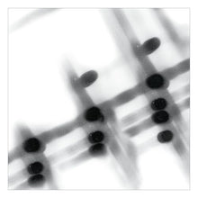 40:13.5 [Vinyl]