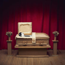 Gregory y sus problemas Pepper - NO GRACIAS [Vinilo]