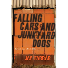 Falling Cars and Junkyard Dogs: Portraits from a Musical Life