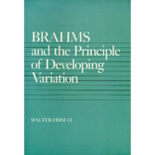 Brahms and the Principle of Developing Variation: Volume 2