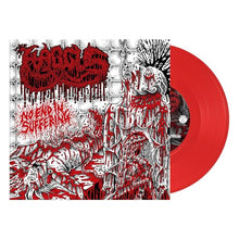 No End In Suffering [Vinyl]