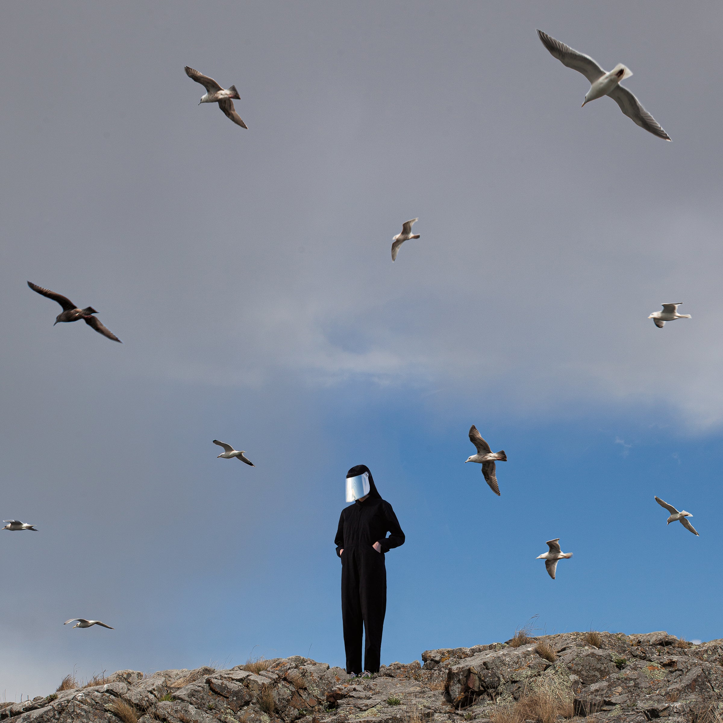 Hamerkop - Remote [Vinyl] - Paladin Vinyl