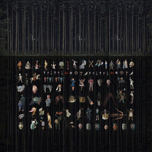HAMID - Intristic Randomness [Vinyl]